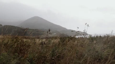 Dry grass sways in the wind against the backdrop of a mountain and sea Stock Footage 292123073