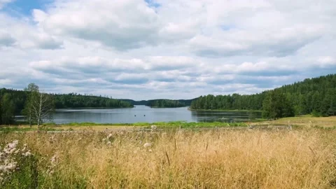 Dry grass swinging. Video stock 151378761