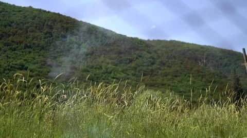 Dry grass thrown out in the field and burnt near the living houses. Smoke in air Stock Footage 110703434