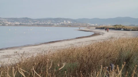 Dry grass with two persons walking on the beach in the background Video stock 105306992