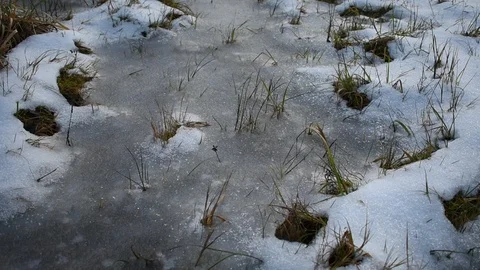 Dry grass under snow and ice Stock Footage 122269891