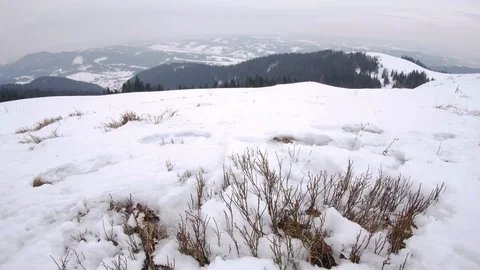Dry grass under the snow. Stock Footage 73073458