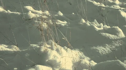Dry Grass Under White Snow Stock Footage 58277001