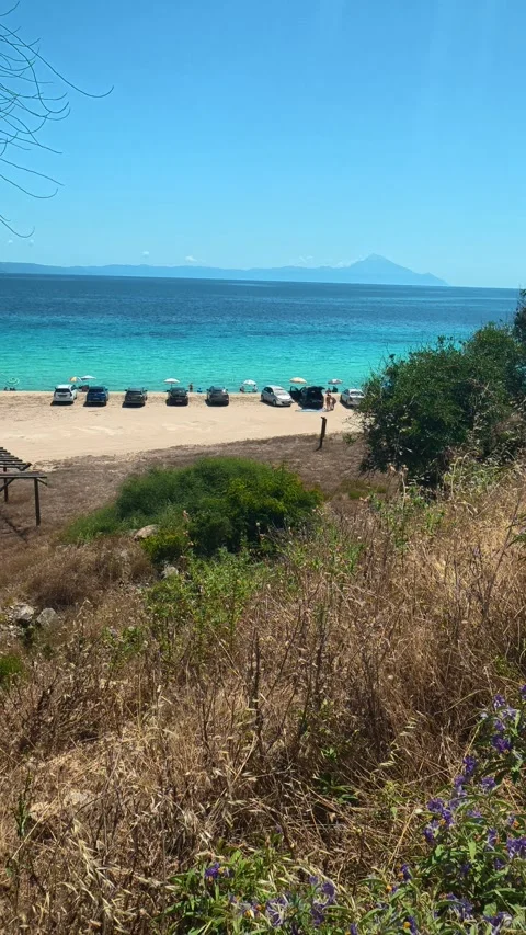 Dry grasses frame beach with scattered chairs. Trani Ammouda, Greece. Vertical Stock Footage 339629660