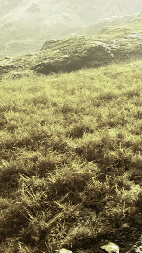 Dry grassland under a bright sky with distant mountains in the background Stock Footage 333566366