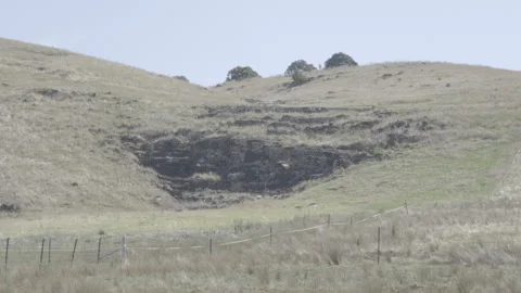 Dry Grassy Hillside with Dark Exposed Earth and Fence Stock Footage 328162960
