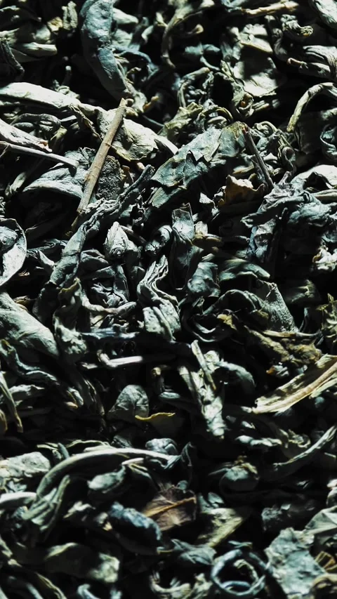 Dry green tea. close-up. rotation food. Uncooked and dried tea. twisted and Stock Footage 319390555