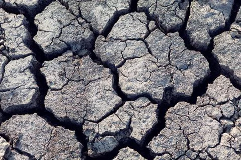 Dry ground background Stock Photos