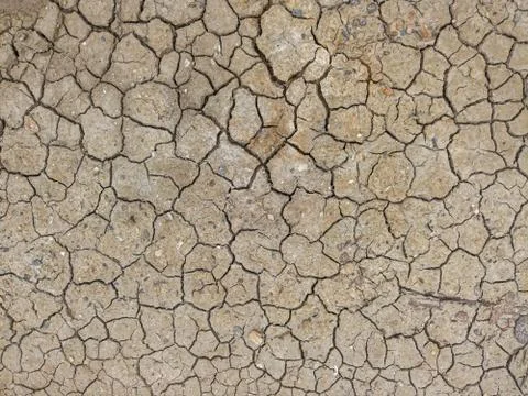 Dry ground background texture Foto stock