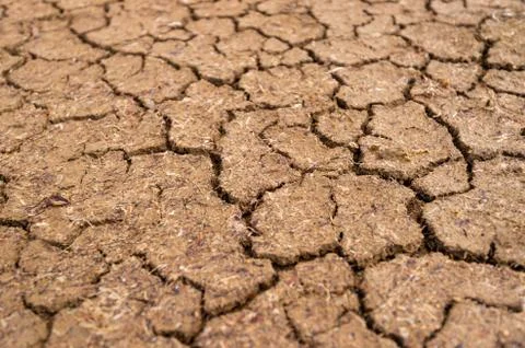 Dry ground with cracks Stock Photos
