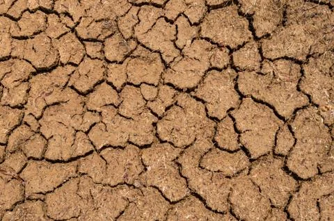 Dry ground with cracks Stock Photos