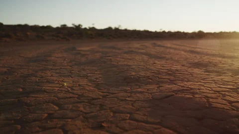 Dry ground in a desert Stock Footage 264127556