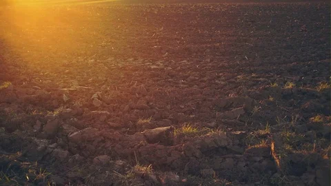 Dry ground on field Stock Footage 76447950