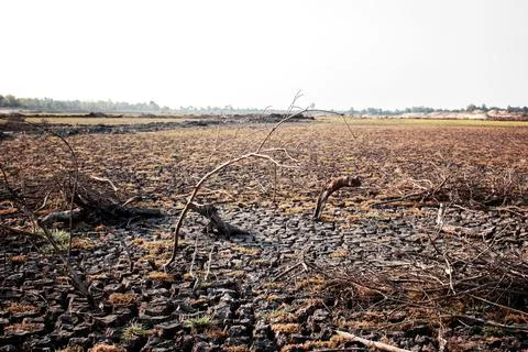 Dry ground on the field. Stock-Fotos