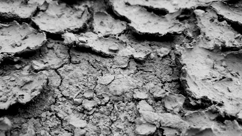 Dry ground, mud in the cracks. Dried cracked muddy ground,gray Stock-Footage 282202645
