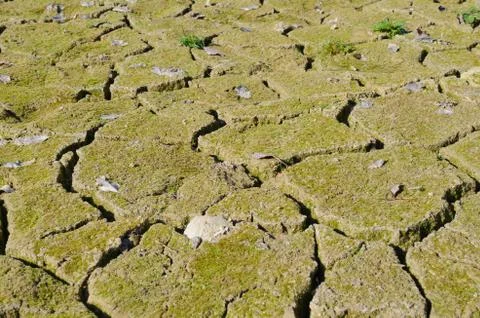 Dry ground Stock Photos