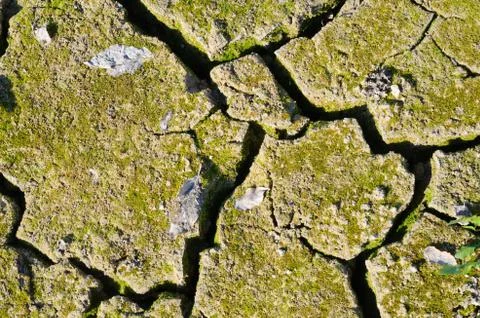 Dry ground 스톡 사진