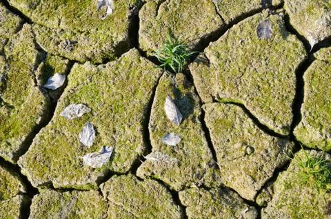 Dry ground Stock Photos