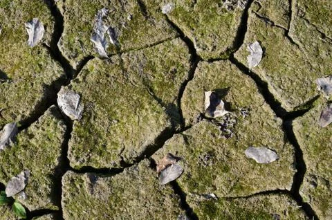 Dry ground Foto stock