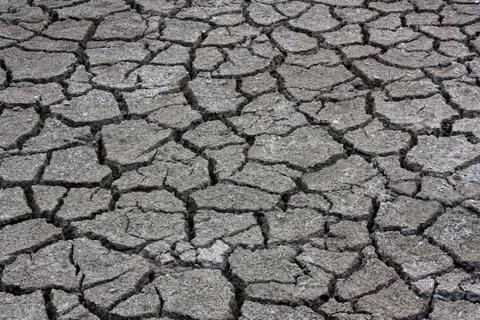 Dry ground Foto stock