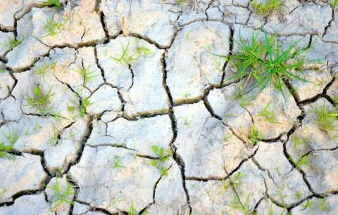 Dry ground Stock Photos