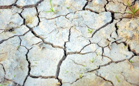 Dry ground Foto stock