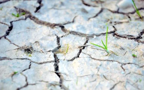 Dry ground Stock Photos