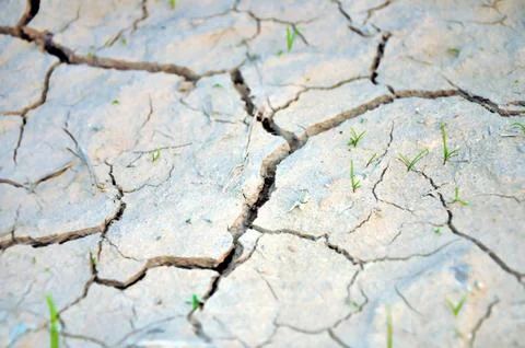 Dry ground Stock Photos