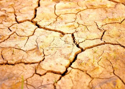 Dry ground Stock Photos