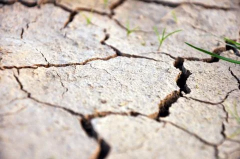 Dry ground Stock Photos
