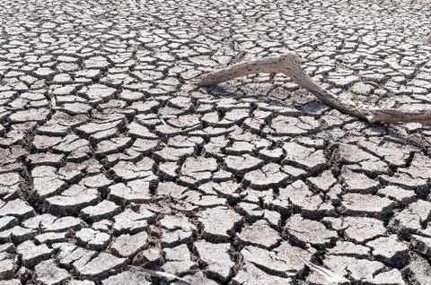 Dry ground Stock Photos