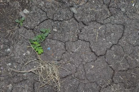 Dry ground Stock-Fotos