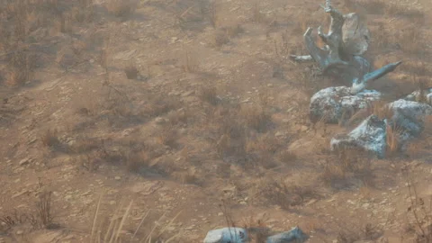 Dry ground with scattered rocks and sparse vegetation in a barren area Stock Footage 339869961