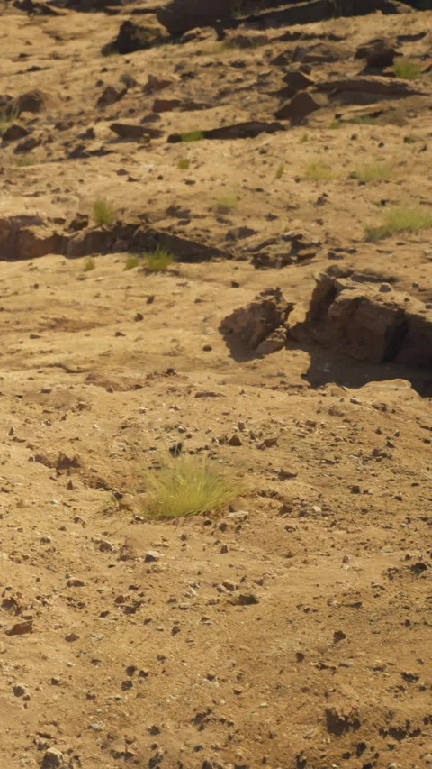 Dry ground with small patches of grass in a rocky area near mountains Stock Footage 331759564