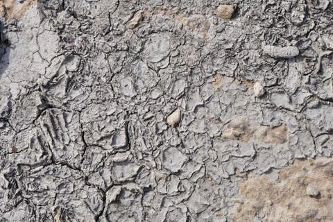 Dry ground soil texture grey Stock Photos