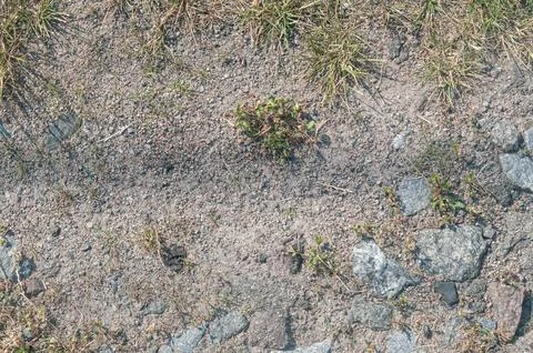 Dry Ground with Sparse Vegetation and Small Rocks Stock Photos