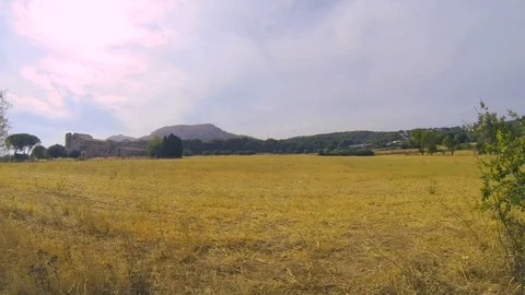 Dry ground in summer Video stock 104306154