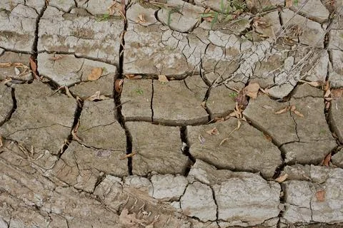 Dry ground surface texture background. Stock Photos