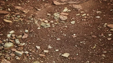 Dry Ground Texture Background Loop Stock Footage 159877048
