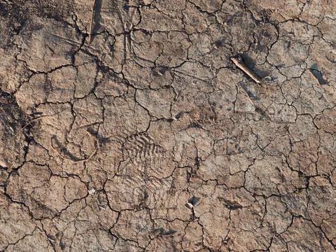 Dry ground texture with cracks. Bottom of a dried lake Stock-Fotos