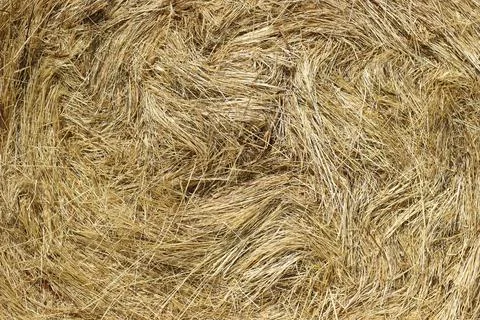 Dry Hay Texture Stock Photos