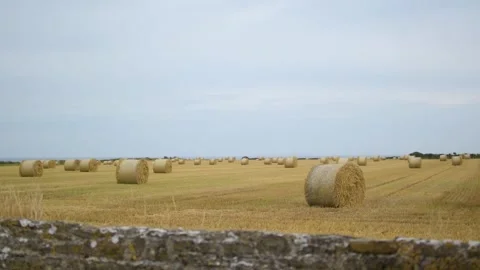 DRY HAYSTACK FARM Stock Footage 314330526