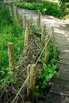 Dry hedge between wooden posts Stock Photos