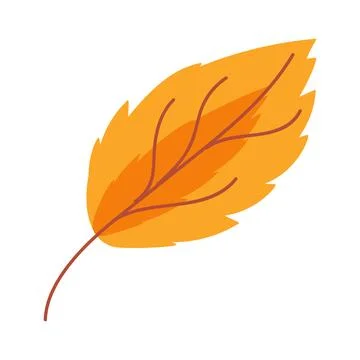 Dry Herbarium Cherry Leaf Falling Leaves Of Garden Stock Illustration