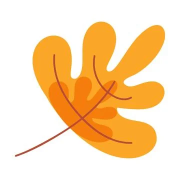 Dry Herbarium Oak Tree Leaf Orange Leaf From Oak イラスト素材