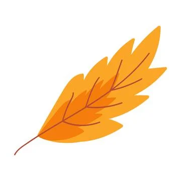 Dry Herbarium Poplar Leaf Fall Of Autumn Leaves Stock Illustration