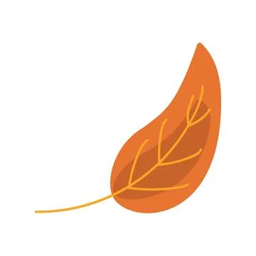 Dry Herbarium Willow Leaf Weightless Floating Stock Illustration