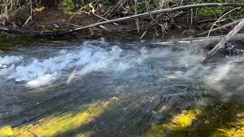 Dry Ice Mist Effect Stock Footage 181673792