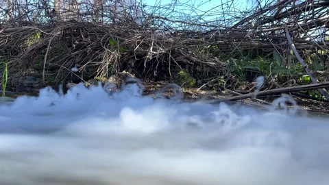 Dry Ice Mist Effect Stock Footage 181674673