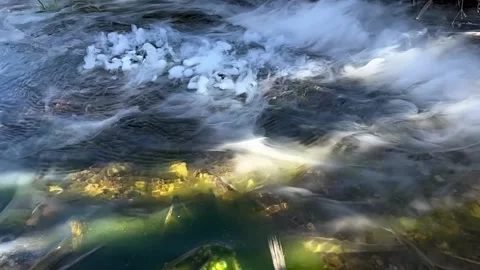 Dry Ice Mist Effect Stock Footage 181675295